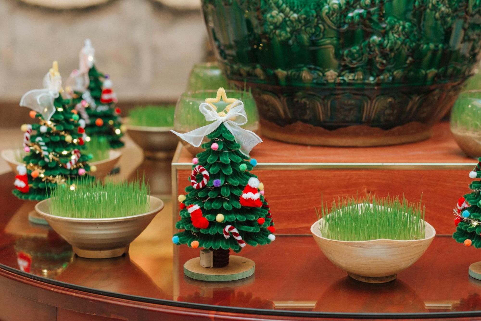 Dlg Hotel Danang Экстерьер фото Wheatgrass grown in a bowl